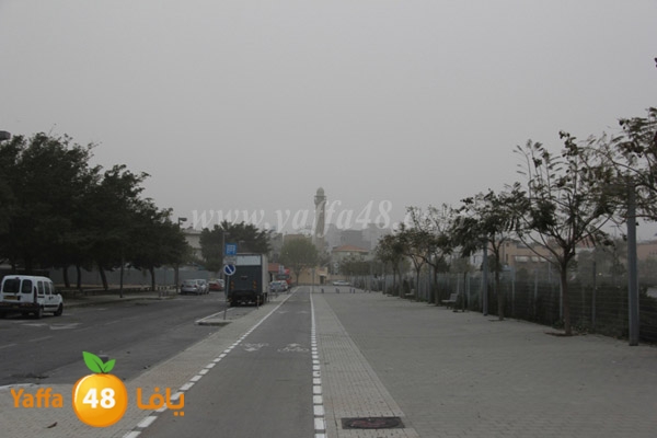 mina2 adrar jfe (17).jpg